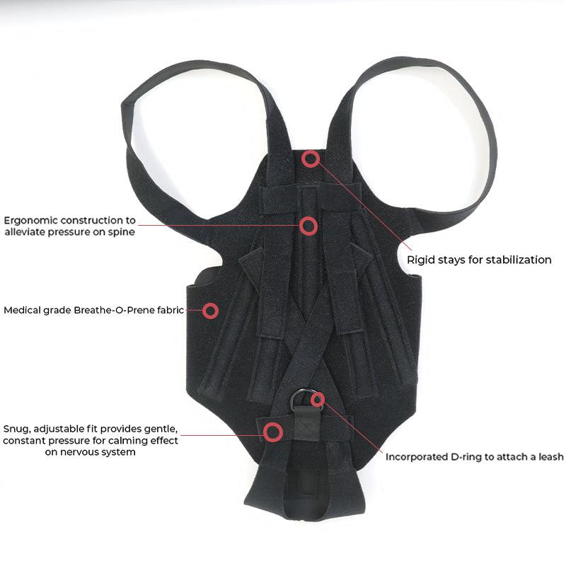 Ultimate Supportive Back Brace For Dogs: Ivdd, Arthritis, And Back Pain Relief