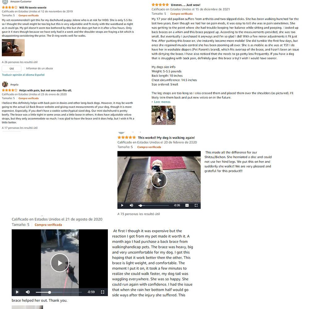 Ultimate Supportive Back Brace For Dogs: Ivdd, Arthritis, And Back Pain Relief