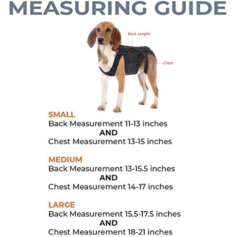 Ultimate Supportive Back Brace For Dogs: Ivdd, Arthritis, And Back Pain Relief