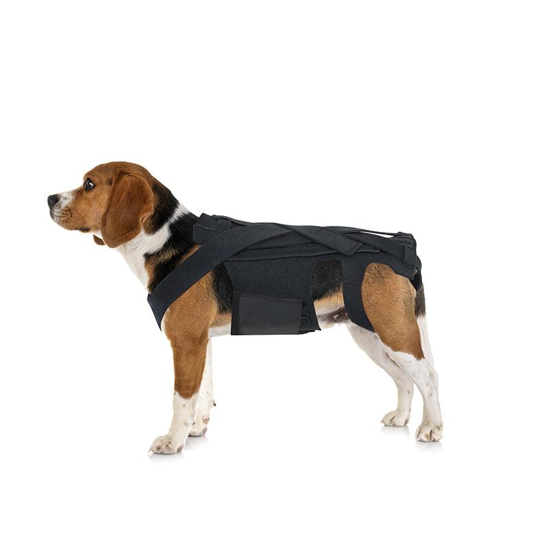 Ultimate Supportive Back Brace For Dogs: Ivdd, Arthritis, And Back Pain Relief